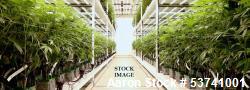 Unused Pipp Horticulture Mobile Vertical Grow Rack System – High-Capacity Indoor Cultivation