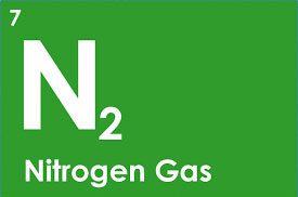 N2.jpg